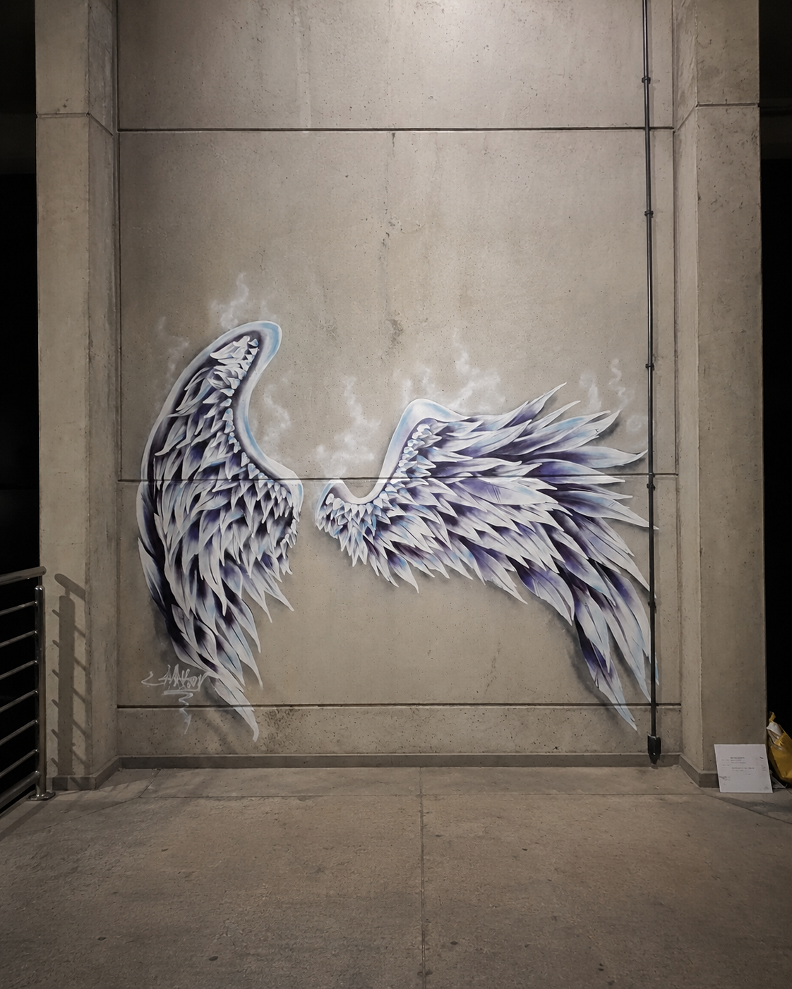 Wings Specialized